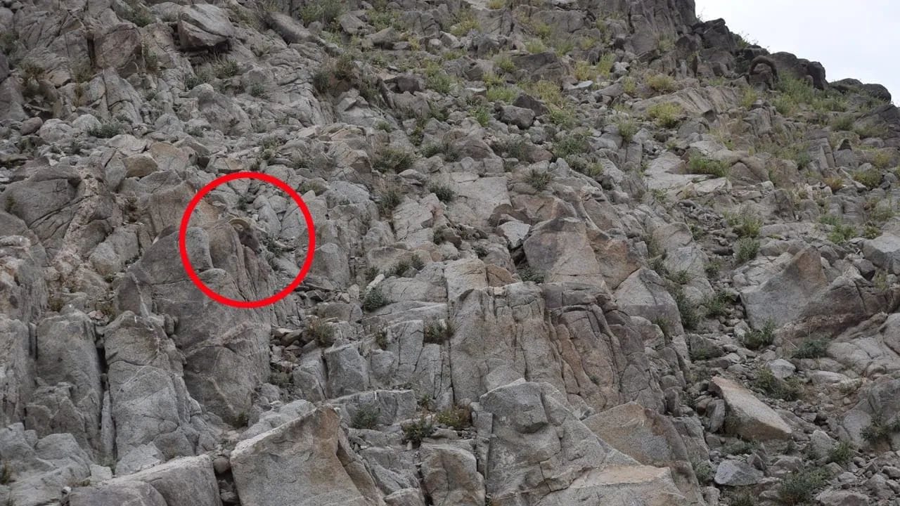 Optical Illusion Challenge