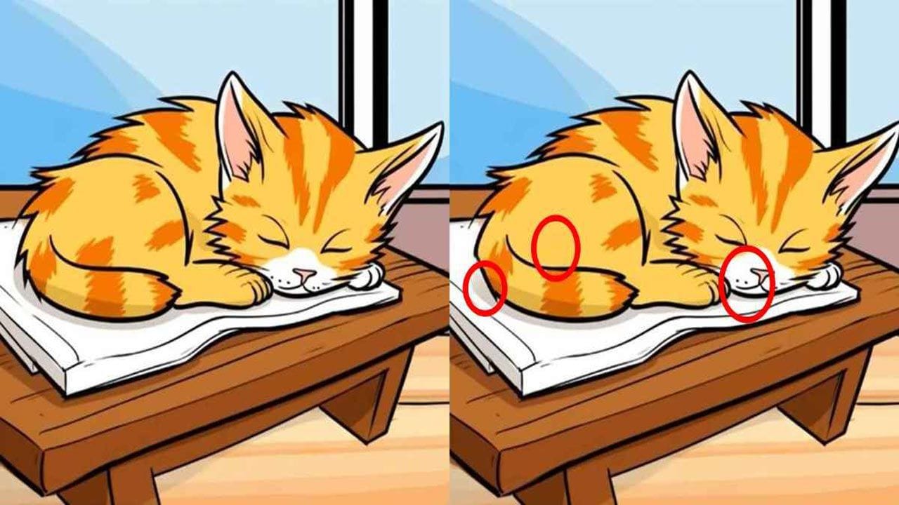 Optical Illusion Test 1