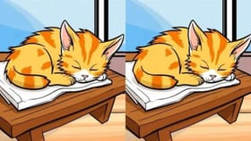 12 సెకన్లలో ఈ 2 ఫోటోల మధ్య ఉన్న 3 తేడాలను గుర్తిస్తే.. మీరే తోపు