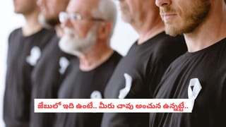 పిల్లలు ఆలస్యంగా మాట్లాడటానికి కారణం ఇదేనట.. పేరెంట్స్ ఈ తప్పులు అస్సలు చేయొద్దు