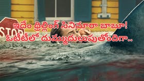 ఓటీటీని షేక్ చేస్తోన్న కొత్త సినిమా.. IMDBలోనూ టాప్ రేటింగ్ మూవీ