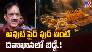 Summer Gardening: ఎండలు మండినా ఈ మొక్కలు అస్సలు వాడిపోవు.. మీ గార్డెన్ కోసం ఇవే బెస్ట్!