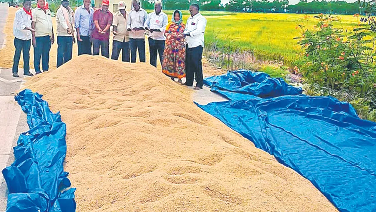 ఆధునిక యంత్రాలు, కెమికల్స్ లేని కాలంలోనే మన పూర్వీకులు ధాన్యాన్ని ఎలా భద్రపరచాలో నేర్పారు. ఆంధ్రా-ఒడిశా సరిహద్దుల్లో ఇప్పటికీ ఈ "పాత్ర ధాన్యం" పద్ధతి కొనసాగుతూ.. మన ప్రాచీన వ్యవసాయ విజ్ఞానానికి సజీవ సాక్ష్యంగా నిలుస్తోంది.
