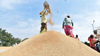 అరటికాయ, కొబ్బరి వేపుడు ఇలా వండితే.. తస్సాదియ్యా.. ఏ నాన్ వెజ్ కూరలు పనికిరావంతే