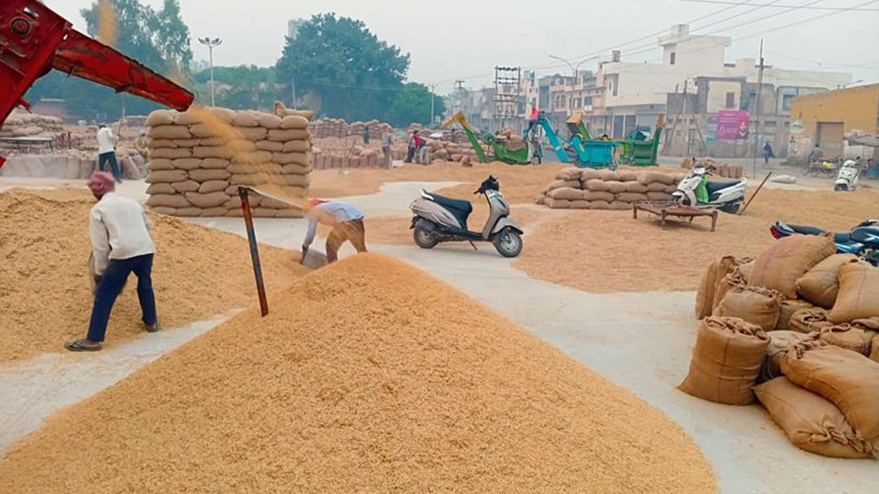 ఈ పద్ధతిలో నిల్వ చేసిన ధాన్యాన్ని చిన్న మిల్లుల్లో పట్టించడం వల్ల బియ్యంపై ఉండే పోషక విలువలు పోవు. ఈ అన్నం రెండు రోజుల వరకు తాజాగా ఉంటుందని, ఆరోగ్యాన్ని కాపాడుతుందని స్థానికుల నమ్మకం. కేవలం నిల్వ పద్ధతిగానే కాకుండా, ఈ మట్టి దిబ్బలను లక్ష్మీదేవిగా భావించి పూజించడం ఇక్కడి సాంస్కృతిక విశిష్టత.