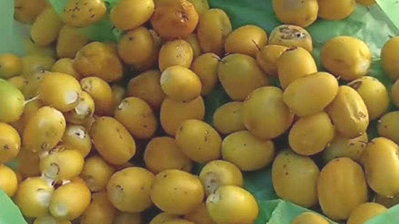 ఎండా కాలంలో ఎక్కువగా దొరికే పాల పండ్ల గురించి ప్రత్యేకంగా చెప్పాల్సిన అవసరం లేదు. వీటిని చిన్న పిల్లల నుంచి పెద్ద వాళ్ళ వరకు ఎంతో ఇష్టంగా తింటారు. ఇంకా ఇవి మనల్ని ఆరోగ్యంగా ఉంచుతాయి. ఇక ధరలో అయితే మటన్ తో పోటీ పడుతున్నాయి. వీటిని తినడం వలన మన ఆరోగ్యానికి కలిగే లాభాలు ఇవే. 