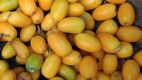 ధరలో మటన్‎తో పోటీ పడుతున్న అడవి పండ్లు.. 100 రోగాలను నయం