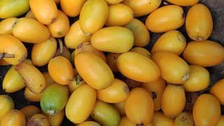 ఎండాకాలంలో బొప్పాయి తింటే ఏమవుతుందో తెలుసా..? తినేముందు అసలు వాస్తవాలు తెలుసుకోండి..