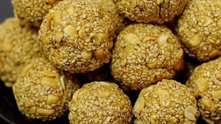 మనీ ప్లాంట్ విషయంలో ఈ తప్పులు చేస్తే దరిద్రం మీ వెంటే.. వాస్తు శాస్త్రం ఏం చెబుతుందంటే..?