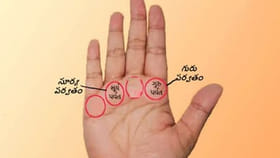 మీ చేతిలో ఈ రెండు గుర్తులు ఉంటే ప్రభుత్వ ఉద్యోగం గ్యారెంటీ