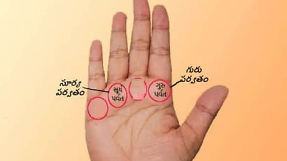 మీ జాతకంలో ప్రభుత్వ ఉద్యోగం ఉందా, లేదా.. చేతిలోని ఈ రేఖల ద్వారా తెలుసుకోండి!