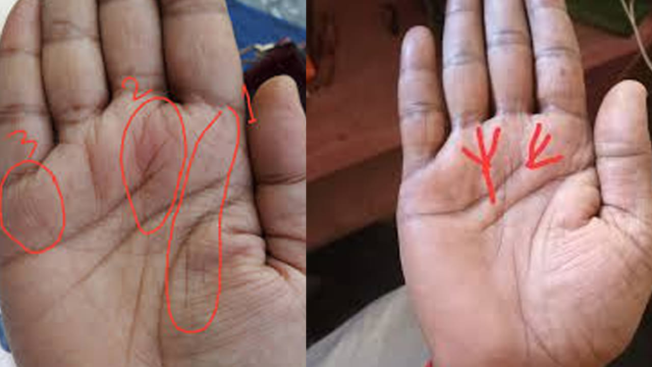 జ్యోతిష్య శాస్త్రంలోని హస్త సాముద్రిక శాస్త్రం ద్వారా అరచేతిలో ఈ రేఖల ద్వారా కూడా భవిష్యత్తు, కెరీర్ గురించి తెలుసుకోవచ్చును. అయితే చేతిలో పర్వత రేఖ, సూర్య రేఖ, విజయ రేఖ ఇలా అనేక రేఖలు ఉంటాయి. అయితే ప్రభుత్వ ఉద్యోగం రాసి పెట్టి ఉందా? లేదా అనేది ఎలా తెలుసుకోవాలో ఇప్పుడు చూద్దాం.