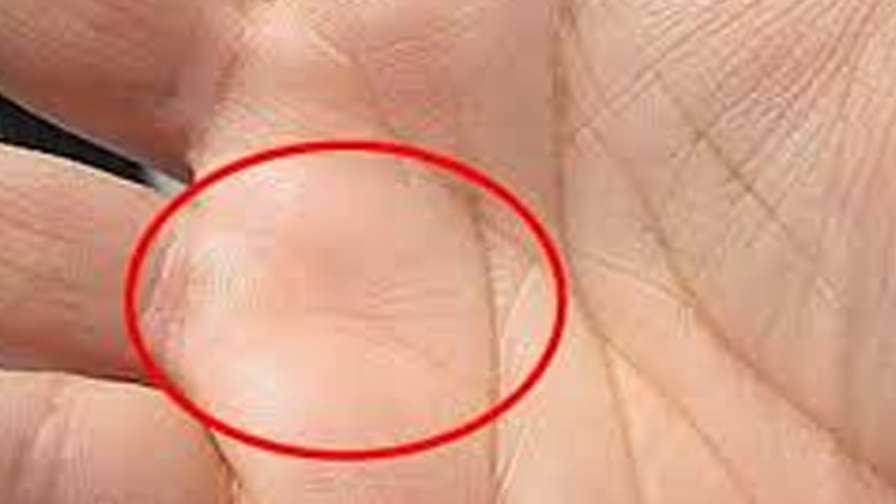 ఎవరికి అయితే అరచేతిలో సూర్య పర్వతం పై  చిన్న చిన్న గీతల మధ్య చతురస్రాకారం కనిపిస్తే అది చాలా అదృష్టం. ఎవరికి అయితే సూర్య పర్వతంపై చతురస్రాకారం ఉంటుందో, వారికి ప్రభుత్వ ఉద్యోగం తప్పకుండా వస్తుందని చెబుతున్నారు హస్త సాముద్రిక శాస్త్ర నిపుణులు.