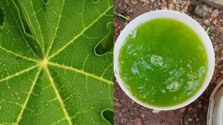 పిల్లలకు రీల్స్ చూసే అలవాటు ఉందా? ఈ మ్యాటర్ తెలిస్తే గుండెల్లో దడే..