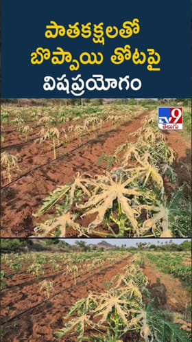 దారుణం.. పాతకక్షలతో బొప్పాయి తోటపై విషప్రయోగం