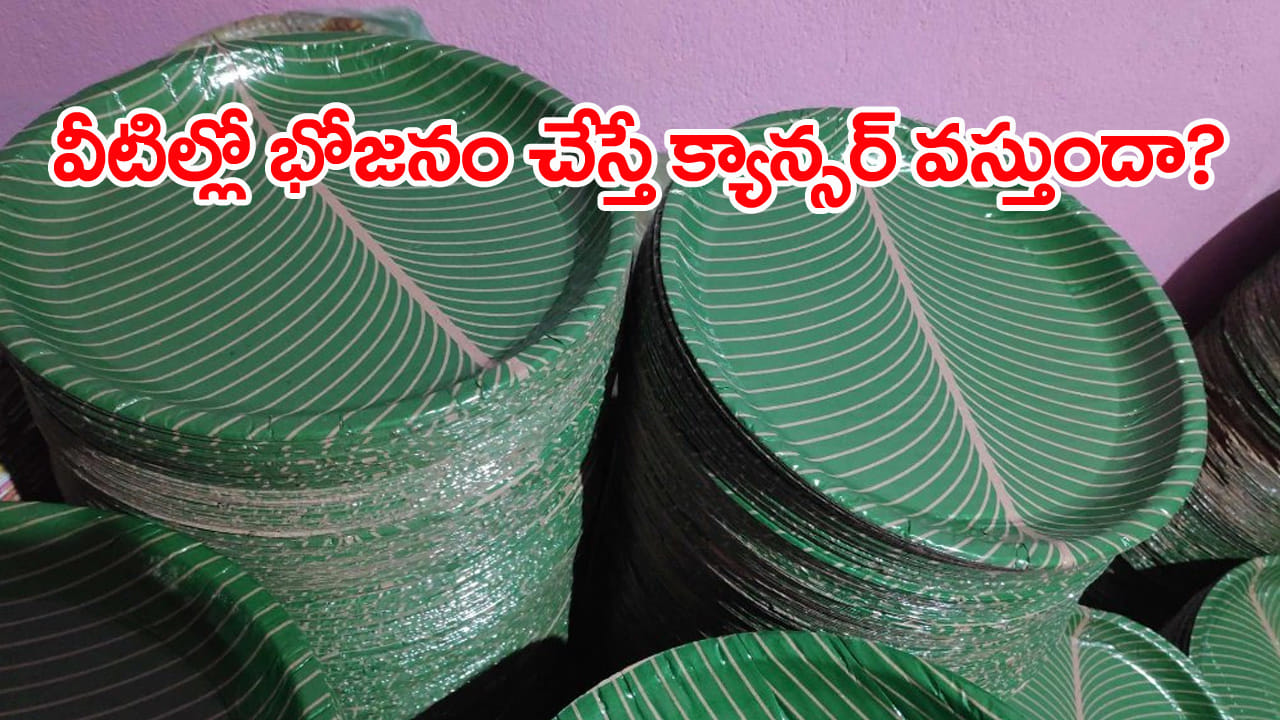 Paper Plates: పేపర్‌ ప్లేట్లలో భోజనం చేసే అలవాటు మీకూ ఉందా? అయితే మీ ఒంట్లోకి క్యాన్సర్..