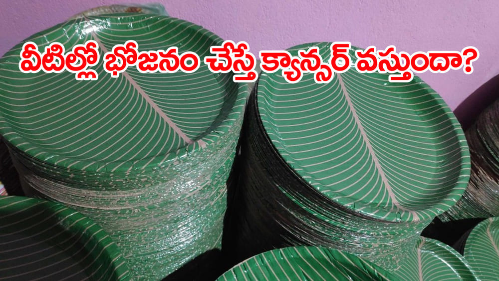 Paper Plates: పేపర్‌ ప్లేట్లలో భోజనం చేసే అలవాటు మీకూ ఉందా? అయితే మీ ఒంట్లోకి క్యాన్సర్..