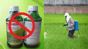 తెలంగాణలో పారాక్వాట్ గడ్డి మందు అమ్మకాలపై నిషేధం