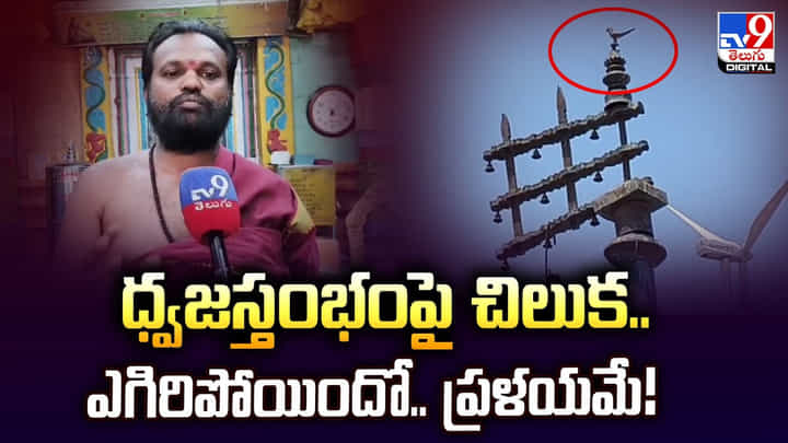 ధ్వజస్తంభంపై చిలుక..ఎగిరిపోయిందో.. ప్రళయమే! ధ్వజస్తంభంపై చిలుక..ఎగిరిపోయిందో.. ప్రళయమే!