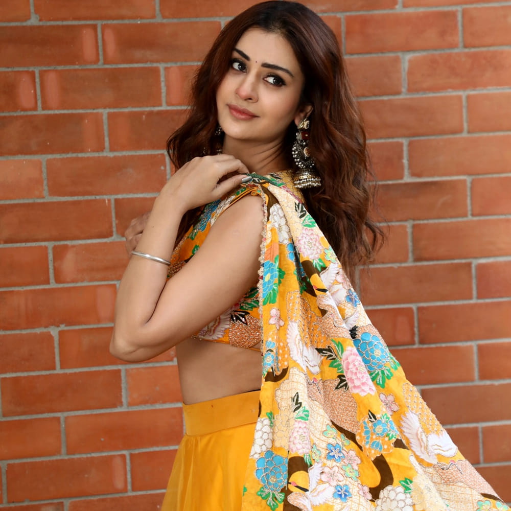 ఆతర్వాత వరుసగా ఎన్టీఆర్: కథానాయకుడు, RDXలవ్, వెంకీమామ, డిస్కో రాజా, అనగనగా ఓ అతిథి, తీస్ మార్ ఖాన్, మాయపేటిక, మంగళవారం వంటి చిత్రాల్లో నటించింది. నటనపరంగా ఈ ముద్దుగుమ్మకు మంచి మార్కులు పడ్డా కూడా హిట్స్ మాత్రం రాలేదు. దాంతో మెల్లగా అవకాశాలు తగ్గుతూ వచ్చాయి.  