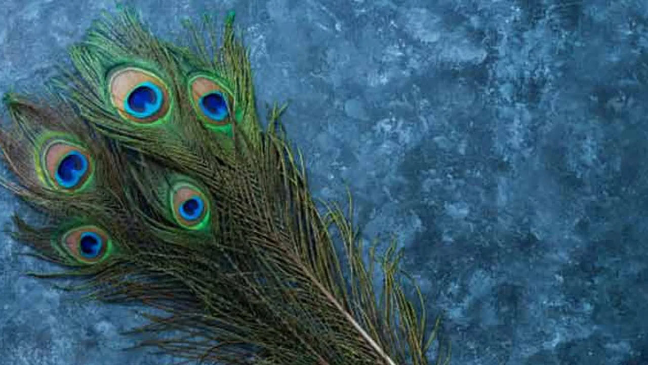 నోట్ : ఈ వార్తలలో ఇవ్వబడిన సమాచారం మత విశ్వాసాలపై ఆధారపడి ఉంది. పాఠకుల ఆసక్తి మేరకు.. పలువురు పండితుల సూచనలు, వారి తెలిపిన అంశాల ఆధారంగా అందించినవి మాత్రమే.. వీటిలో ఎలాంటి శాస్త్రీయ ఆధారాలు లేవని పాఠకులు గమనించాలి. టీవీ9 తెలుగు దీనిని ధృవీకరించలేదు