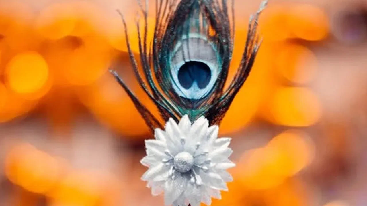 వంట గది, బాత్ రూమ్‌లో నెమలి ఈకలను పెట్టడం వలన అవి శక్తిని కోల్పోవడమే కాకుండా ఇంటిలో సమస్యలకు కారణం అవుతాయంట. ముఖ్యంగా ఆర్థిక సమస్యలు , అనారోగ్య సమస్యలు ఇంటిలో గొడవలు, కుటుంబ సభ్యుల్లో మానసిక ప్రశాంతత లోపించడం వంటి ఇబ్బందులు తలెత్తే ఛాన్స్ ఉందని చెప్తున్నారు నిపుణులు.