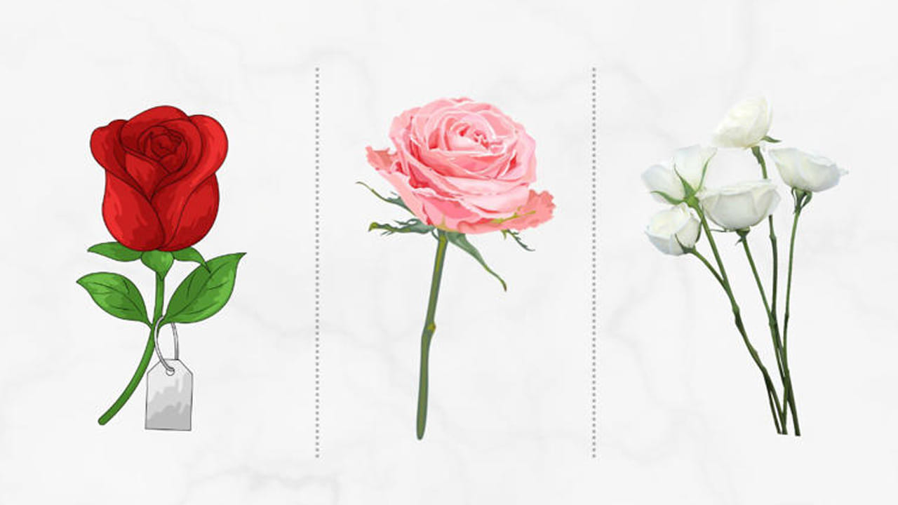 ఈ మధ్య పర్సనాలిటీ టెస్ట్‌లు సోషల్ మీడియాలో తెగ ట్రెండ్ అవుతున్నాయి. చాలా మంది వీటిని ఎక్కువగా ఫాలో అవుతున్నారు. అందులో ఉన్నవాటిని తమతో పోల్చుకొని వారి వ్యక్తిత్వం, గుణ గణాలు తెలుసుకుంటున్నారు. అయితే తాజాగా సోషల్ మీడియాలో ఓ ఇంట్రస్టింగ్ వ్యక్తిత్వ పరీక్షను తెలియజేసే ఫొటో వైరల్ అవుతుంది. అందులో అందమైన మూడు గులాబీలు ఉన్నాయి. అయితే ఇవి మీ వ్యక్తిత్వాన్నే కాకుండా, మీరు ఎదుర్కునే ఒత్తిడిని కూడా రివీల్ చేస్తాయంట. అది ఎలాగో ఇప్పుడు చూసేద్దాం.