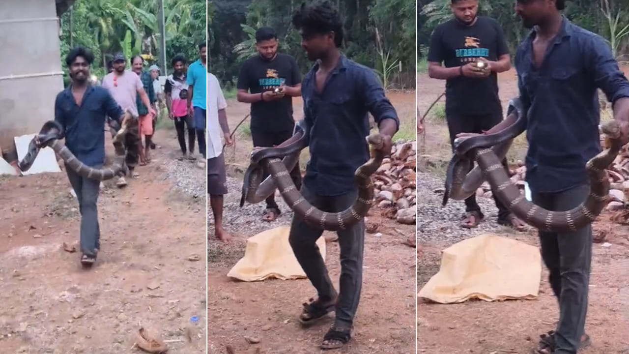 ఇదేంది ఇంత ఉంది..! అనకొండకు అక్క అయ్యుంటుంది.. చూస్తే వణకాల్సిందే