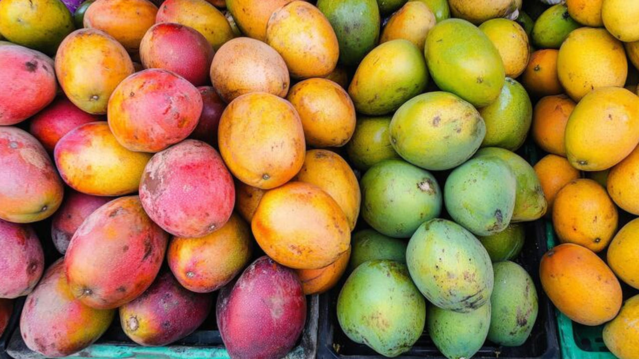 వేసవి వచ్చిందంటే చాలు ప్రతి ఒకరి ఇంటిలో మామిడికాయ పచ్చడి పెడుతుంటారు. అయితే మార్కెట్‌లో అనేక రకాల మామిడికాయలు అందుబాటులో ఉన్నాయి. దీంతో చాలా మంది ఊరగాయ మామిడికాయ, తినే మామిడి కాయకు తేడా తెలియదు. దీంతో తమ దగ్గర ఉన్న మామిడి కాయలతో పచ్చడి పెట్టి, టేస్ట్ బాలేదని, ఊరగాయ కుదరలేదని, అంతే కాకుండా చట్నీ త్వరగా పాడైపోయిందని బాధపడుతుంటారు. మరి అసలు ఊరగాయ పెట్టడానికి ఎలాంటి రకం మామిడికాయను తీసుకోవాలో ఇప్పుడు చూసేద్దాం.