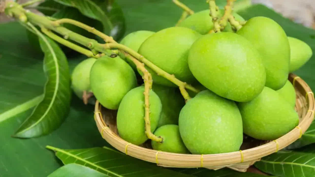 ఊరగాయ పెట్టడానికి కావాల్సిన మామిడి రకాల్లో బంగినపల్లి మామిడికాయ చాలా బెస్ట్. ఇది కాయగా ఉన్నప్పుడు మాత్రమే పెట్టాలి. ఇదే కాకుండా తోతాపురి మామిడికాయలు చాలా బెస్ట్ ఊరగాయకు, ఇవి కొంచెం పొడవుగా, లోపల గుజ్జుతో పాటు ,ఘాటైన పులుపును కలిగి ఉంటాయి. వీటితో ఊరగాయ పెడితే ఎన్ని సంవత్సరాలు అయినా సరే నిలువ ఉంటుంది.