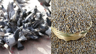 రక్తహీనతకు చెక్ పెట్టే పాతకాలపు వంటకం గుడాన్నం.. ఇది తింటే ఇమ్యూనిటీ పవర్ పెరగడం పక్కా..