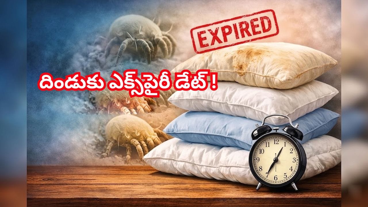 బీ అలర్ట్‌.. మీ దిండుకు ఎక్స్‌పైరీ డేట్ వచ్చేసింది? మార్చకపోతే ఈ ఆరోగ్య సమస్యలు తప్పవు!