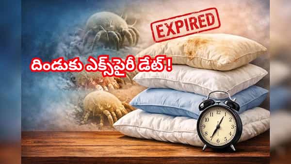 బీ అలర్ట్.. మీ దిండుకు ఎక్స్పైరీ డేట్ వచ్చేసింది? మార్చకపోతే ఈ ఆరోగ్య సమస్యలు తప్పవు!