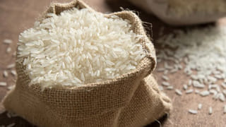 వంటగదిలో ఉండే ఈ పదార్దాలతో.. ములక్కాయలు పిచ్చిపిచ్చిగా కాస్తాయి.. లక్షల్లో లాభాలు