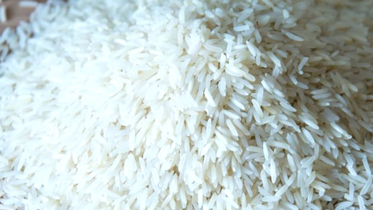 Plastic Rice