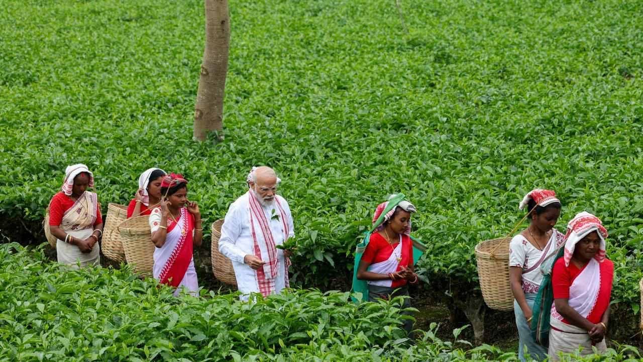 తేయాకులు కోసి, సెల్ఫీ తీసుకుంటూ.. టీ తోటలో చిరస్మరణీయ అనుభూతిని పొందిన ప్రధాని మోదీ