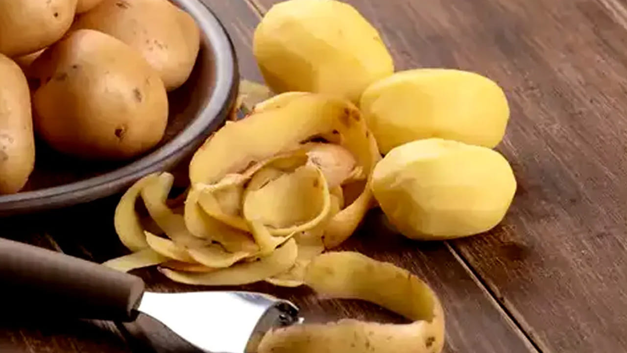 క్యాన్సర్ నిరోధక గుణాలు: బంగాళాదుంప తొక్కలు క్యాన్సర్ వంటి తీవ్రమైన వ్యాధుల ప్రమాదాన్ని తగ్గించడంలో సహాయపడతాయని కూడా నమ్ముతారు. వాటిలో శక్తివంతమైన యాంటీఆక్సిడెంట్లుగా పనిచేసే ఫైటోకెమికల్స్, క్లోరోజెనిక్ యాసిడ్ పుష్కలంగా ఉంటాయి. ఈ సమ్మేళనాలు శరీర కణాలను దెబ్బతినకుండా కాపాడి, క్యాన్సర్ వంటి వ్యాధుల ప్రమాదాన్ని గణనీయంగా తగ్గిస్తాయి. ఇందులో ఉండే ఫైటోకెమికల్స్ శరీరంలోని ఫ్రీ రాడికల్స్ నుండి కణాలను రక్షిస్తాయి. ఇది క్యాన్సర్ వంటి ప్రాణాంతక వ్యాధులు రాకుండా నిరోధించడంలో సహాయపడుతుంది.