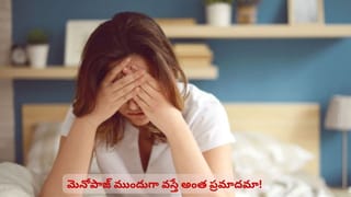 ప్రెగ్నెన్సీ రాక ముందు తల్లి డిప్రెషన్? డెలివరీ తర్వాత బిడ్డ ఆరోగ్యంపై స్టడీలో షాకింగ్ నిజాలు
