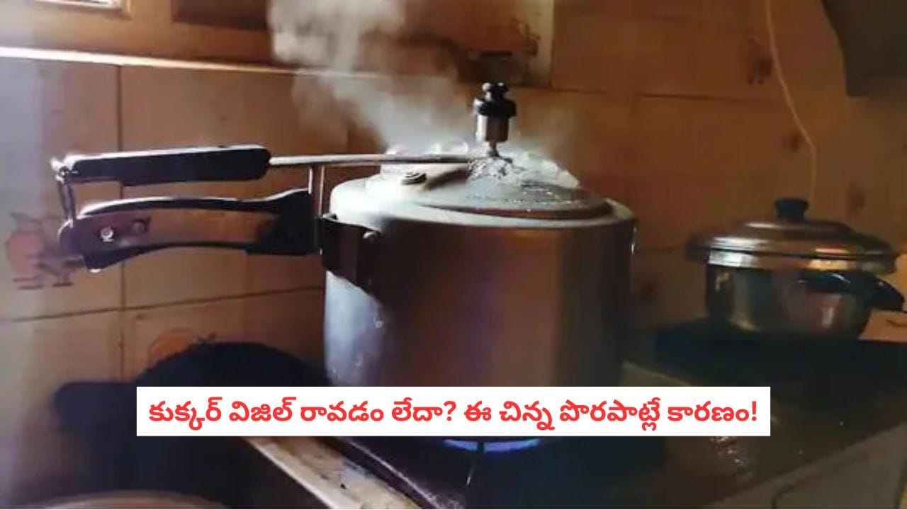 Pressure Cooker Repair: మీ కుక్కర్ విజిల్ ఎందుకు ఆగిపోయింది? ఈ 5 కారణాలు తెలిస్తే మీరే రిపేర్ చేసుకోవచ్చు!