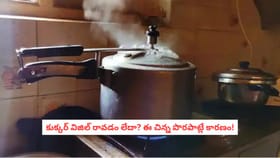 కుక్కర్ విజిల్ రావడం లేదా? ఈ చిన్న పొరపాట్లే కారణం!