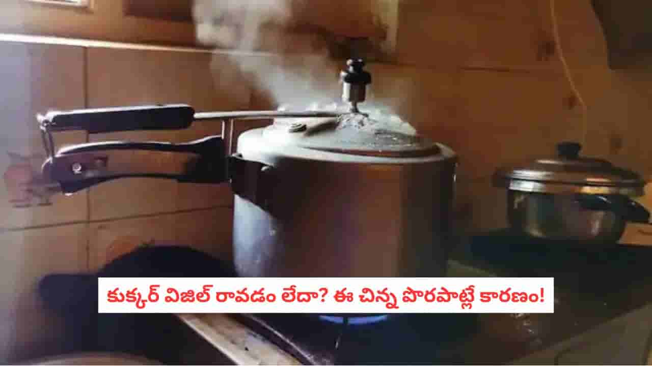 Pressure Cooker Repair: మీ కుక్కర్ విజిల్ ఎందుకు ఆగిపోయింది? ఈ 5 కారణాలు తెలిస్తే మీరే రిపేర్ చేసుకోవచ్చు!