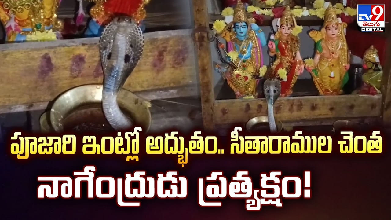 పూజారి ఇంట్లో అద్భుతం.. సీతారాముల చెంత నాగేంద్రుడు ప్రత్యక్షం