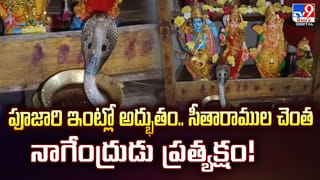 ఇంటర్‌ ఫలితాల్లో అదరగొట్టిన ట్విన్స్‌.. ప్రతి సబ్జెక్ట్‌లో సేమ్ మార్కులు
