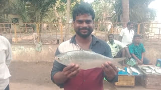 ఇంద్రకీలాద్రిపై ఫేక్ అర్చకుడి వివాదం.. నకిలీ పత్రాలతో ఉద్యోగ యత్నం?