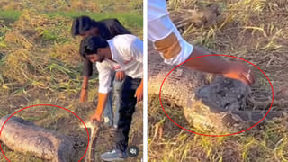 ఆగని తుమ్ములతో అస్పత్రికొచ్చిన మహిళ.. డాక్టర్లు టెస్టులు చేయగా కనిపించిన షాకింగ్ సీన్