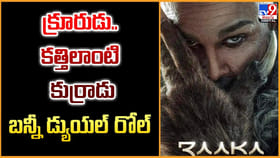 క్రూరుడు.. కత్తిలాంటి కుర్రాడు.. బన్నీ డ్యుయల్ రోల్