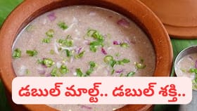 డబుల్ మాల్ట్.. డబుల్ శక్తి.. ఉదయాన్నే ఏ టిఫిన్ కూడా తినక్కర్లేదు