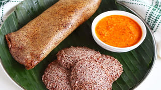 సన్నజాజి పూలు సంవత్సరం అంతా బుట్టల నిండా పూయాలంటే ఇవి ఇవ్వండి.. ఇక ఇల్లంతా సువాసనే..