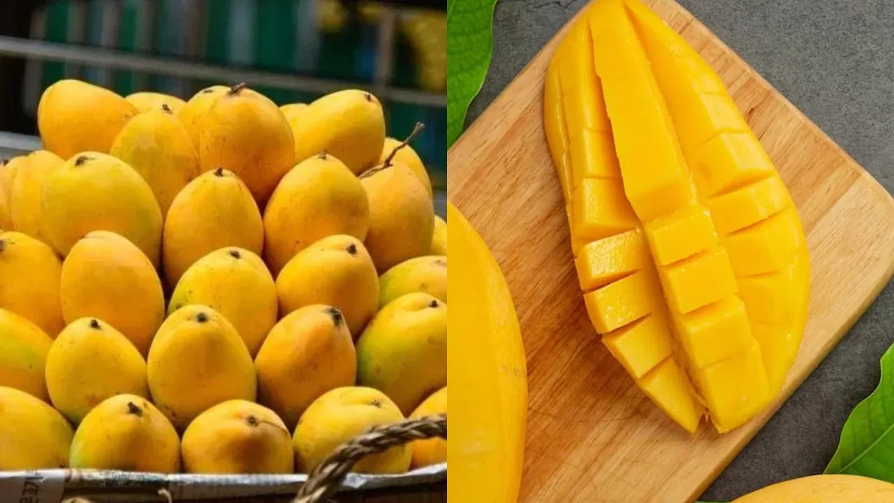 అతిగా తింటే ప్రమాదమే: ప్రకృతి ఇచ్చిన ఈ అమృతం మితంగా తింటేనే ఆరోగ్యం. అతిగా తింటే కొన్ని ఇబ్బందులు తప్పవని నిపుణులు హెచ్చరిస్తున్నారు. బాగా పండిన మామిడి పండ్లలో చక్కెర స్థాయిలు ఎక్కువగా ఉంటాయి. షుగర్ వ్యాధి ఉన్నవారు వైద్యుల సలహా మేరకే వీటిని తీసుకోవాలి. మామిడి పండ్లకు వేడి చేసే స్వభావం ఉంటుంది.