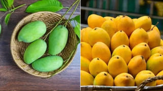 విటమిన్ ట్యాబ్లెట్స్ ఎందుకు దండగ.. నువ్వుల లడ్డూలు ఉండగ